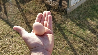 WoW My First Chicken Egg