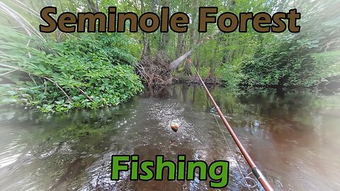 Fishing in the Seminole Forest