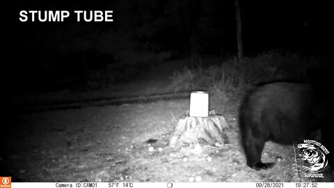 Stump Tube episode 7 Bears eat my trail cam 🐻🐻🐻😂