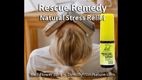 Bach Flower Remedies - Trusted for over 90 Years