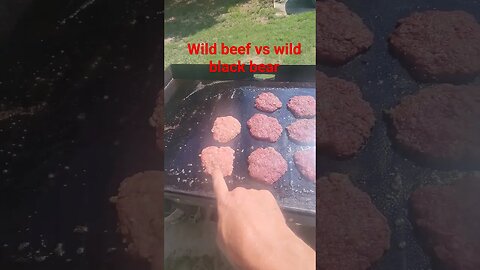 Wild meats on the grill, store bought should not be that color.