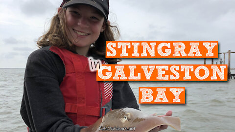 S2:E11 Stingrays on Galveston Bay | Kids Outdoors