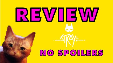 - Stray Review -