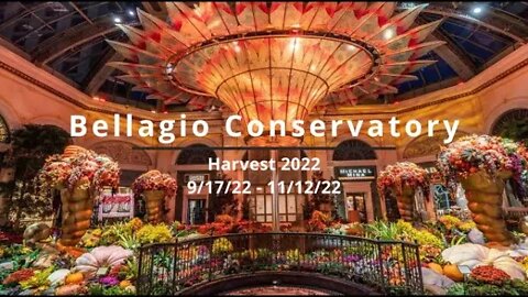 Bellagio Conservatory Harvest Display 2022 | Autumn Festival | Las Vegas