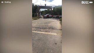 Trem colide contra motorista distraído