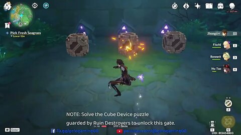 [Guide] How to solve Cube Device puzzle in dungeon at Serpent's Head