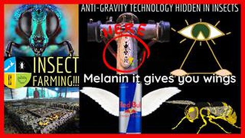 Mysteries anti-gravity technology hidden in insects found full video plus