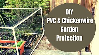 DIY Garden Project | Easy Project to Protect Garden