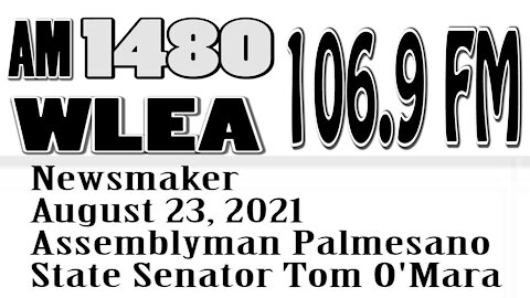 Wlea Newsmaker, August 23, 2021, Assemblyman Palmesano, State Senator Tom O'Mara