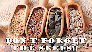 Seed Banks ~ One of the Most important Preps!