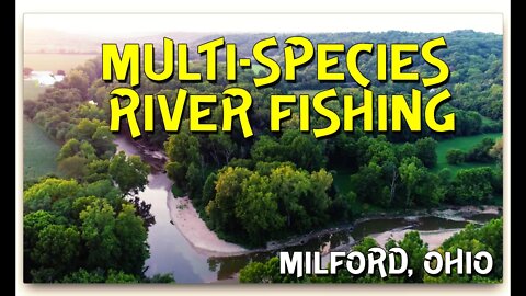 Multi-Species day on the East Fork Little Miami (Milford, Ohio)