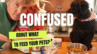 What's Best To Feed Your Pet (Dogs & Cats)