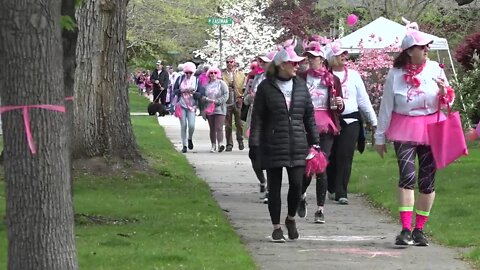 Flock Cancer brings survivors and non-profits together on Harrison Boulevard