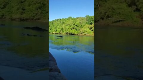 Trout Fishing on The Chattahoochee River