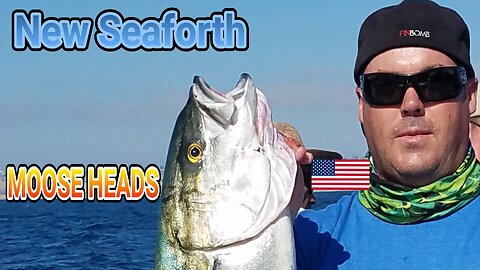 (31) 09/09/2016 - Right place at the right time YELLOWTAIL! New Seaforth.