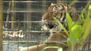 FWC changes rules regarding access to caged wildlife