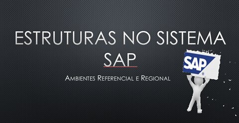 SAP SYSTEM - Structural Organization of the System - SAP Referencial e SAP Regional