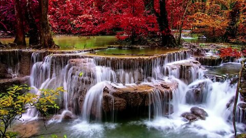 WaterFalls Red leaves Trees