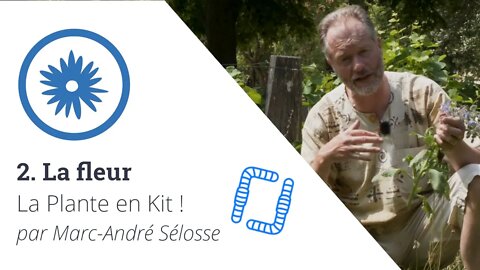 La Plante en Kit ! Ep2 - La fleur, avec Marc-André Sélosse