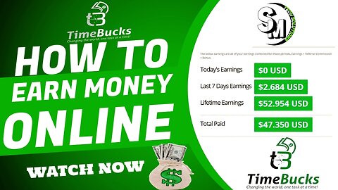 How to Earn 300$ Daily From Timebucks