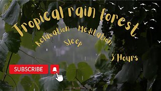 Tropical rain forest sounds for relax, sleep, study, meditation, concentration, deepsleep