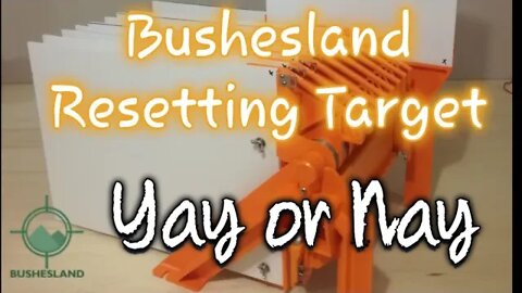 Bushesland Resetable Remote Target System