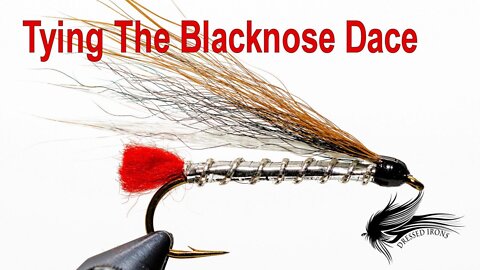 Tying The Blacknose Dace - Dressed Irons