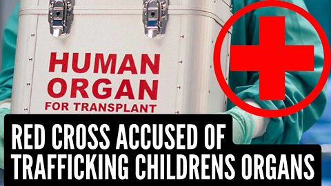 Ukrainian Red Cross Allegedly Catalogued Children With Healthy Organs - Inside Russia Report