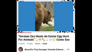 "German Zoo Hosts An Easter Egg Hunt For Animals Full Video 🐰🐇🐣🐥🐤💫🎼🎶 Come See