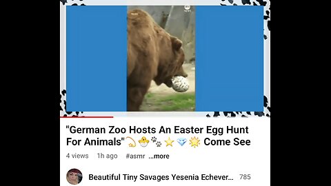 "German Zoo Hosts An Easter Egg Hunt For Animals Full Video 🐰🐇🐣🐥🐤💫🎼🎶 Come See