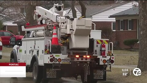 DTE crews, residents prepare for widespread outages due to ice on tree limbs, power lines