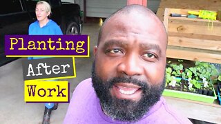 After Work Planting | Vlog