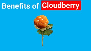 Health BENEFITS of CLOUDBERRY! 🔵 Dr. Michael