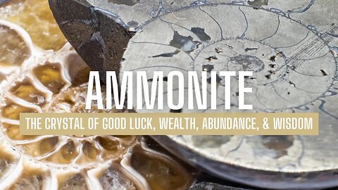 Unleash The Amazing Ammonite for Good Luck, Wealth, Abundance, and Wisdom