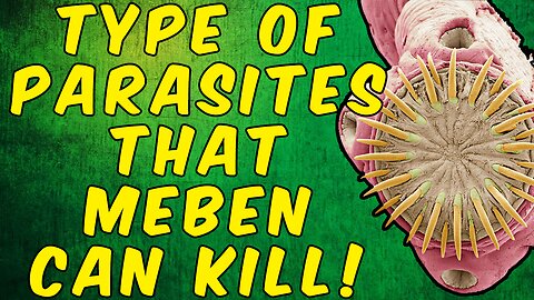 What Type Of Parasites Will Mebendazole KILL?