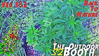 The Outdoor Booth Season 2 | Veg Weeks 1 & 2 | Back To Nature (Rumble Exclusive)