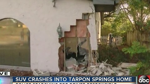 SUV crashes into Tarpon Springs home