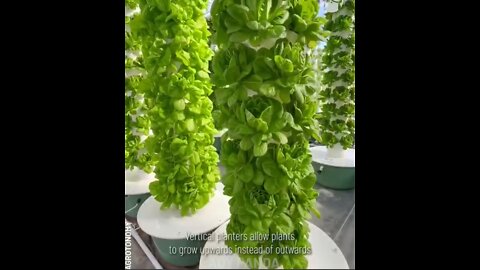 VERTICAL FARMING - REVEALED - Humanitarians this is very inspiring and a great way to