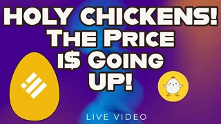 Holy Chickens Price Update Its Still Early!