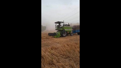 straw riper details