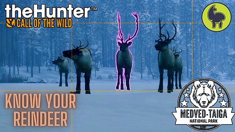 Know your Reindeer, Medved Taiga | theHunter: Call of the Wild (PS5 4K)