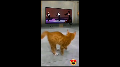 cute cats imitate Michael Jackson's movements with sweet cat movements