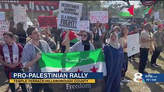 Hundreds of pro-Palestinian supporters attend demonstration in Temple Terrace
