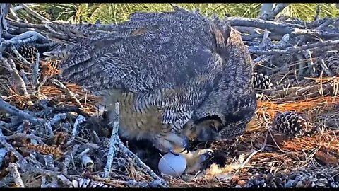 A Gentle Touch From Mama 🦉 1/18/22 15:14