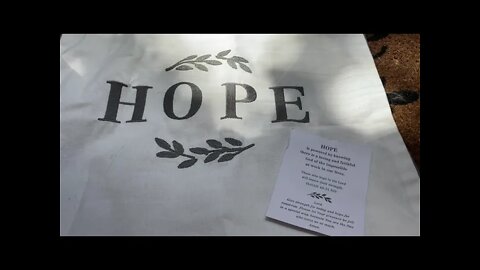 Mary and Martha: Hope pillow case