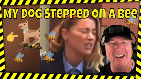 My Dog Stepped on a Bee Reaction - Johnny Depp Amber Heard Trial - TikTok Reactions - Funny