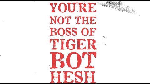 You're not The Boss of Tiger Bot Hesh - Lyric Video - Backstabberpunk