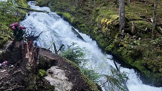 Crack of Dawn Early Morning Hike to Little ZigZag Falls Along Little ZigZag River! | Mount Hood | 4K