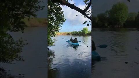 Kayak Ride