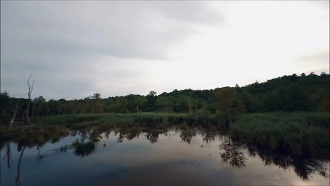 Wetlands - Cinematic FPV